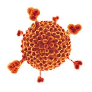 Adenovirus-846609-1408521423290.jpg