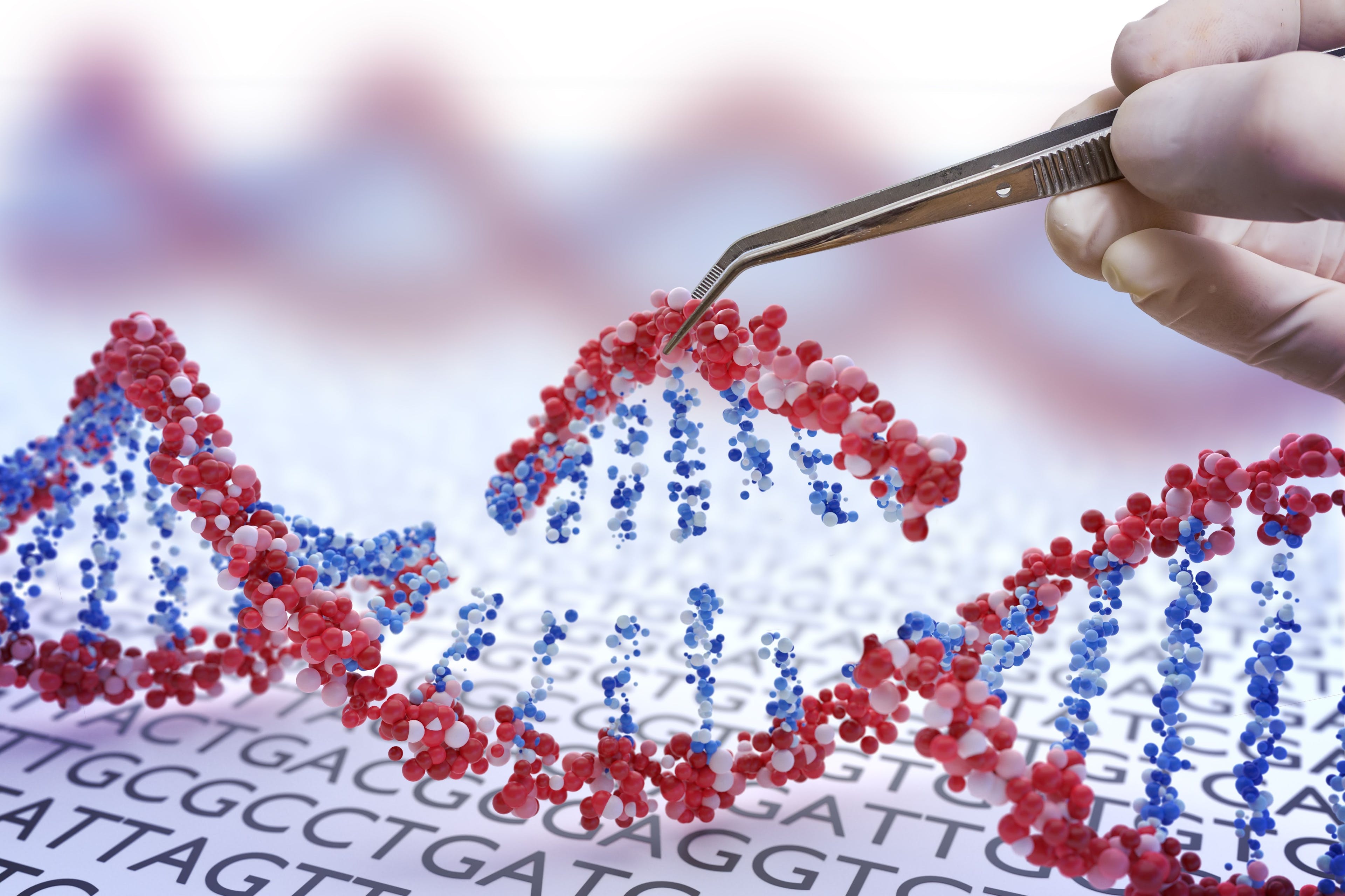 Genetic engineering, GMO and Gene manipulation concept. Hand is inserting sequence of DNA. 3D illustration of DNA. | Image Credit: © vchalup - stock.adobe.com