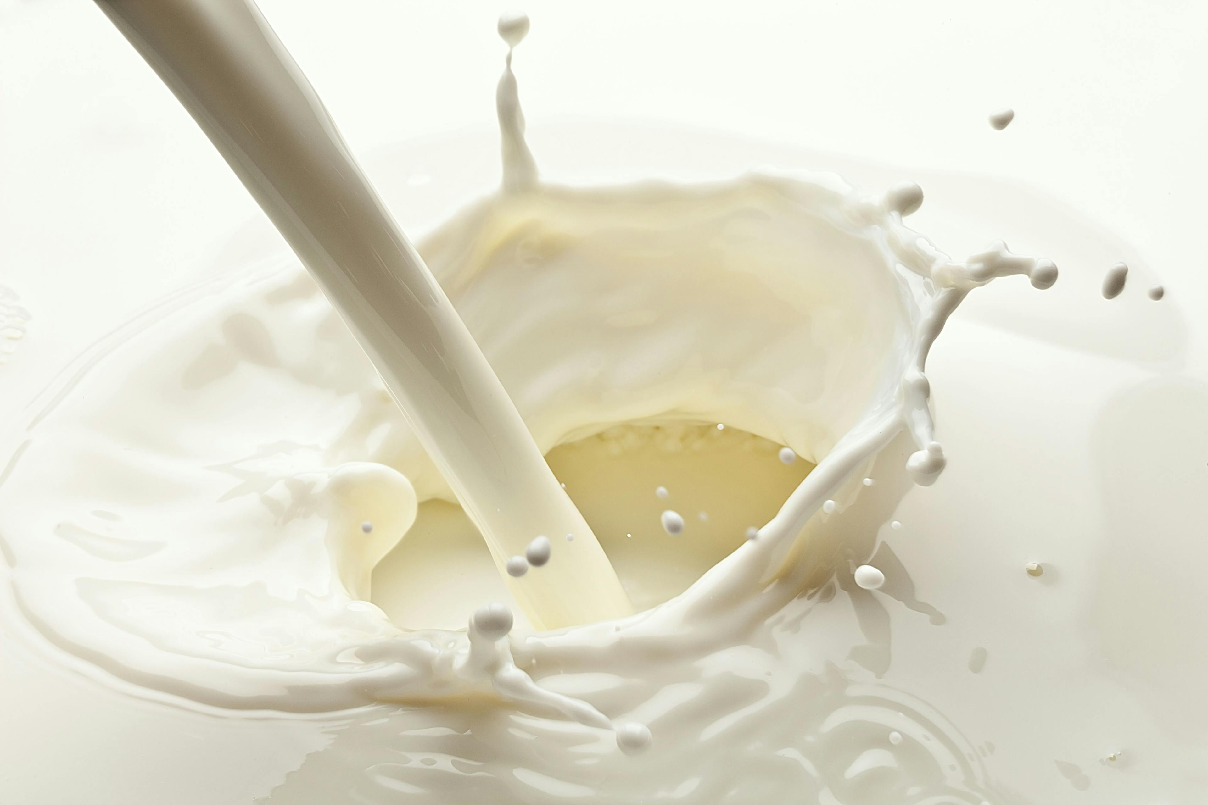 Splash of milk photo. Closeup. | Image Credit: © volff - stock.adobe.com