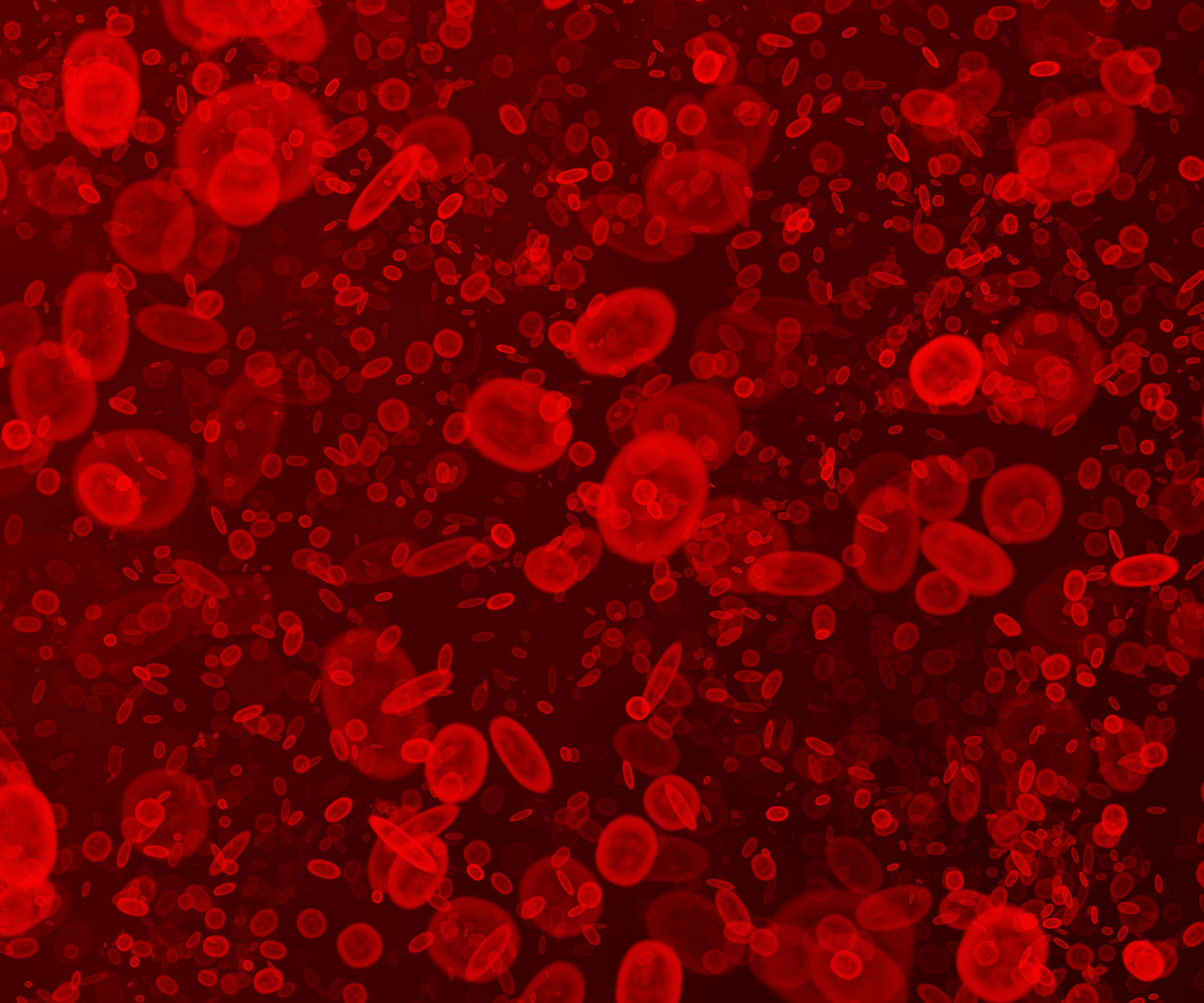 Intense cluttering of blood cells | Image Credit: © Argus - stock.adobe.com