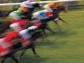 Racing Against Time: High-Throughput Analysis of Dermorphin in Equine Urine