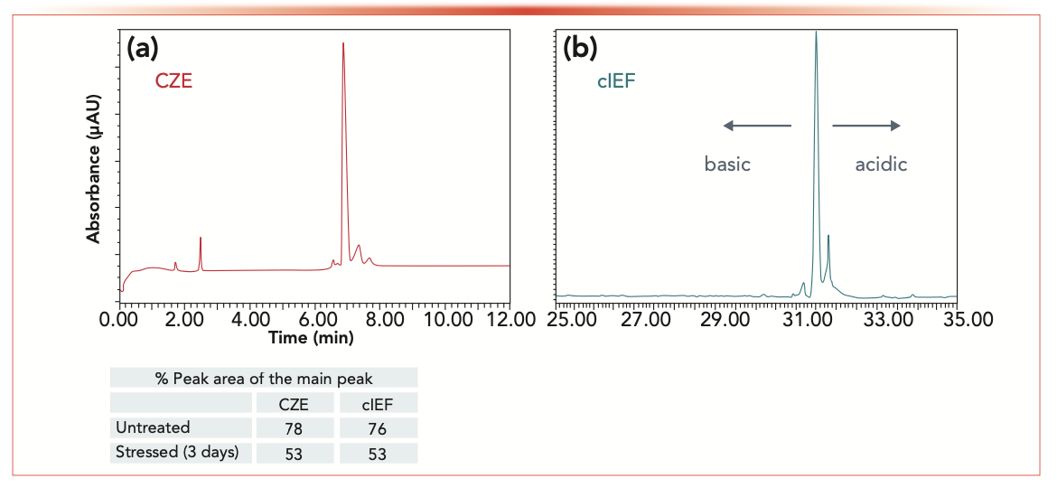FIGURE 4: This figure shows (a) CZE vs. (b) cIEF quantification of the forced deamidation of emicizumab.