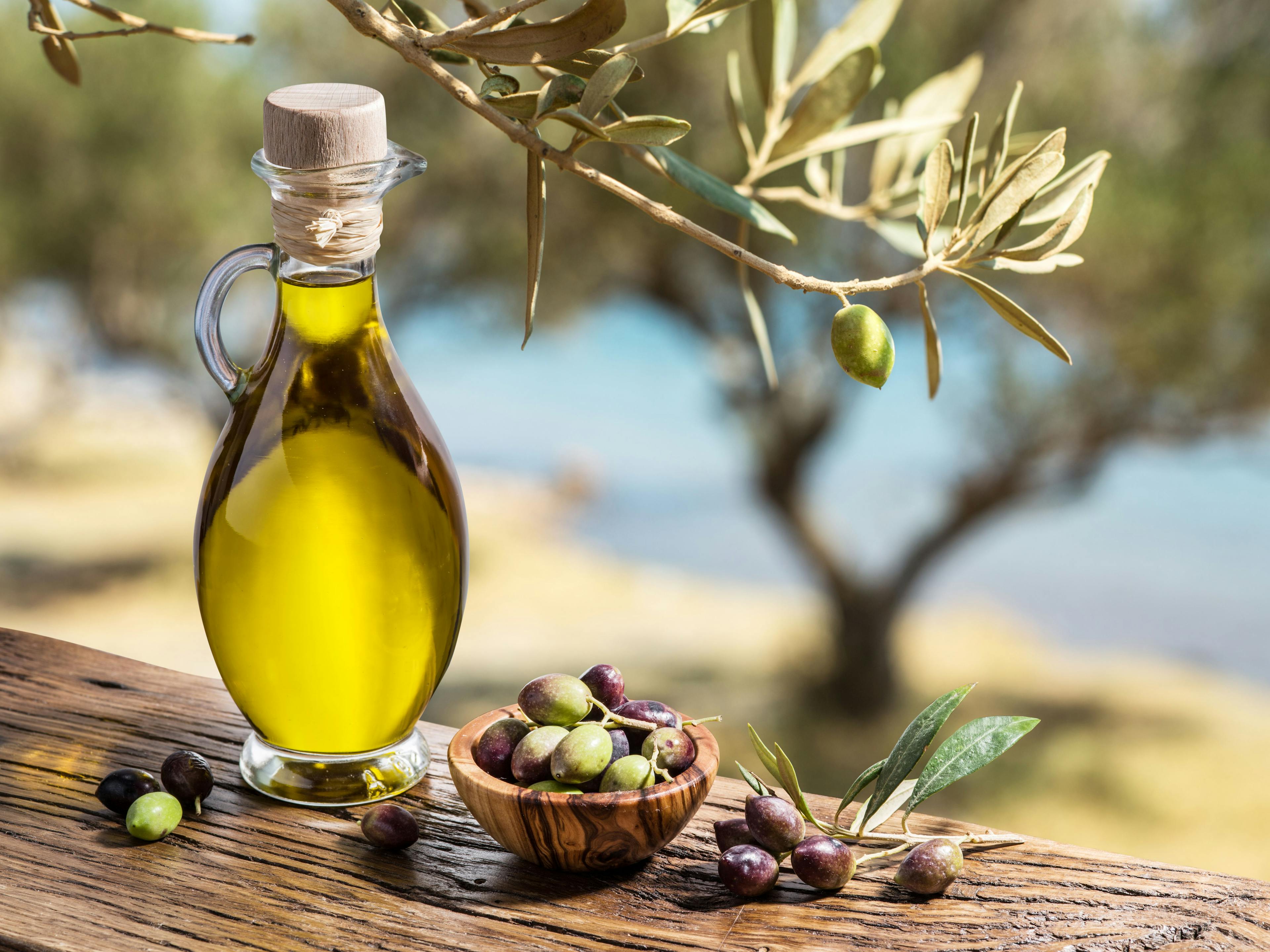 Olive oil and berries are on the wooden table under the olive tr | Image Credit: © volff - stock.adobe.com.