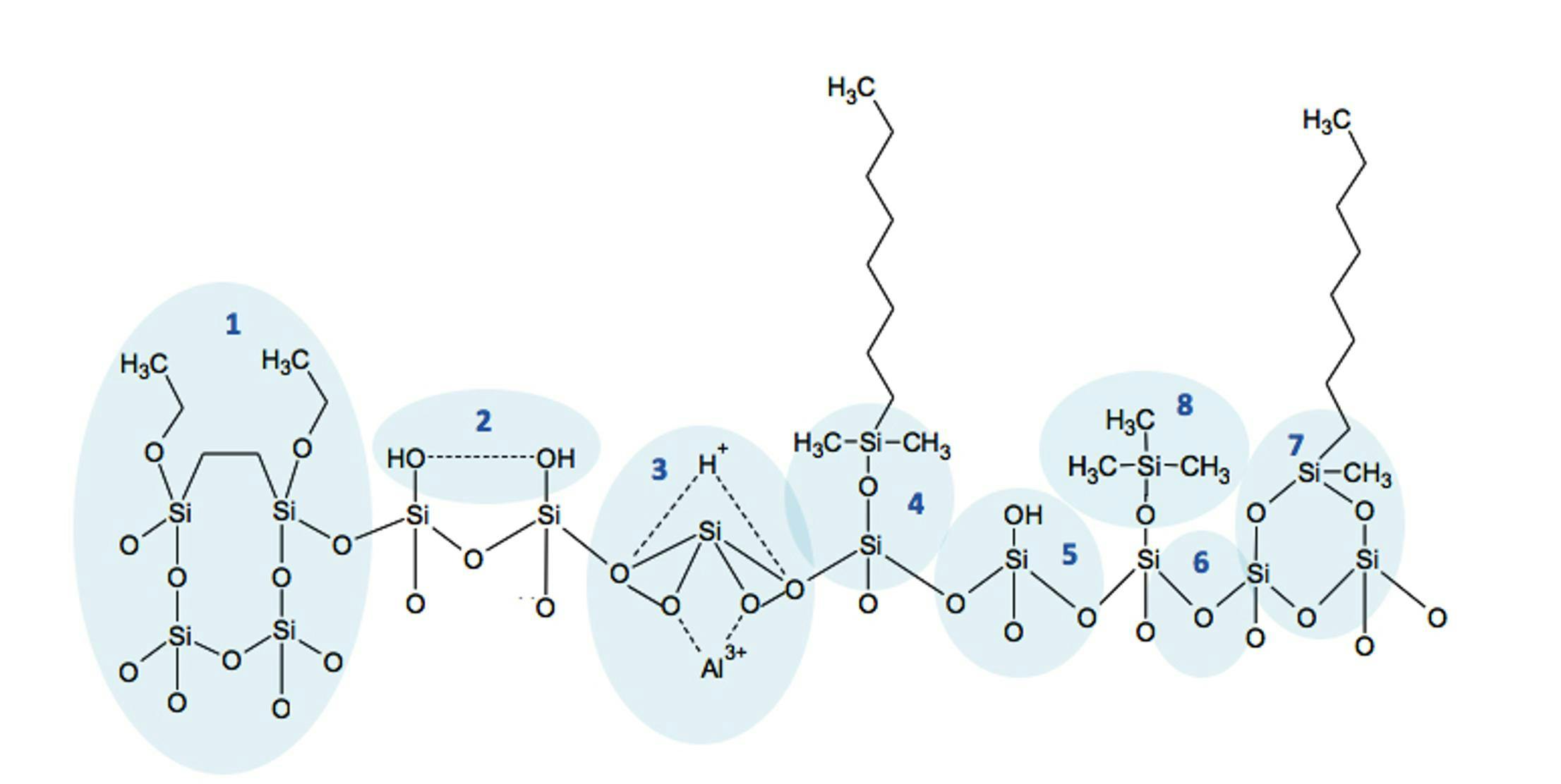 Figure 2: Representations of various silica surface species (note C8 ligands shown in the figure – C18 ligands are recommended in the Pharmacopeial method).