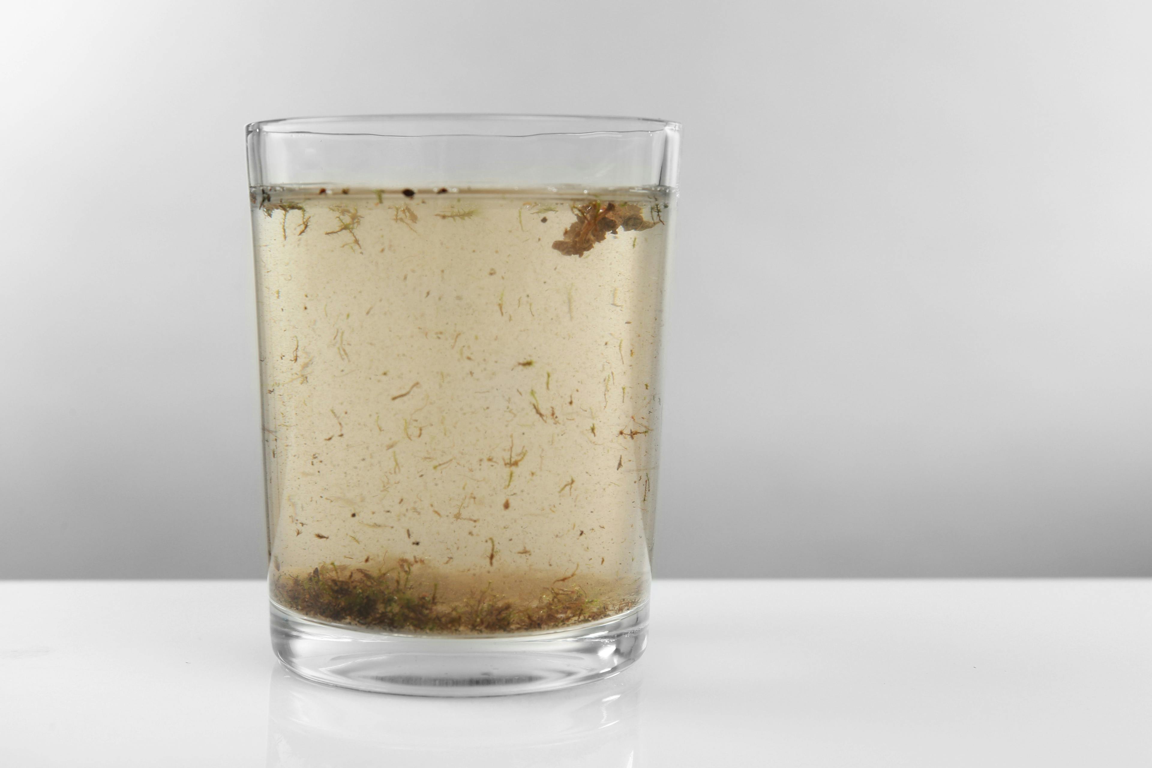 Glass of contaminated water on grey background | Image Credit: © Africa Studio - stock.adobe.com
