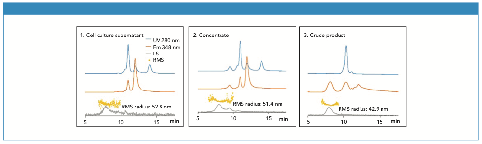 Figure 1: Sample 1: Cell culture supernatant 50 μL inj. 2: Concentrate 50 μL inj. 3: Crude product 15 μL inj. Process: supernatant concentrated by ultrafiltration; crude product obtained by affinity chromatography.
