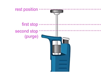 Figure 2: Schematic diagram of the various stop positions of a typical manual piston pipette (image reproduced with permission of CHROMacademy, www.chromacademy.com)