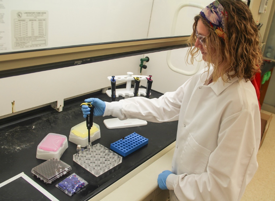 Emma Macturk (MS Candidate) prepares gas chromatography samples. | Photo Credit: © Katelynn Perrault Uptmor