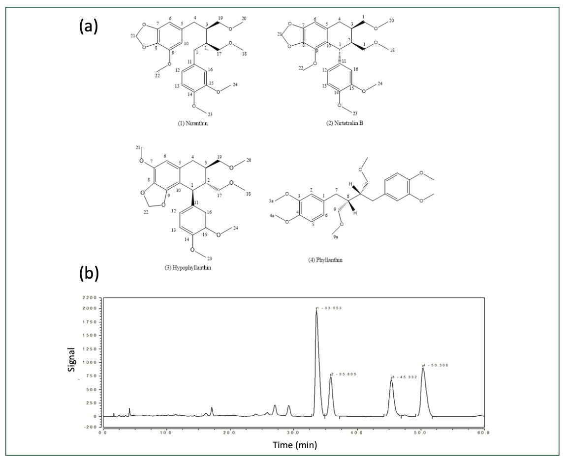 FIGURE 1: (a) Chemical structures of lignans isolated from Phyllanthusniruri L., and (b) their HPLC spectrum.