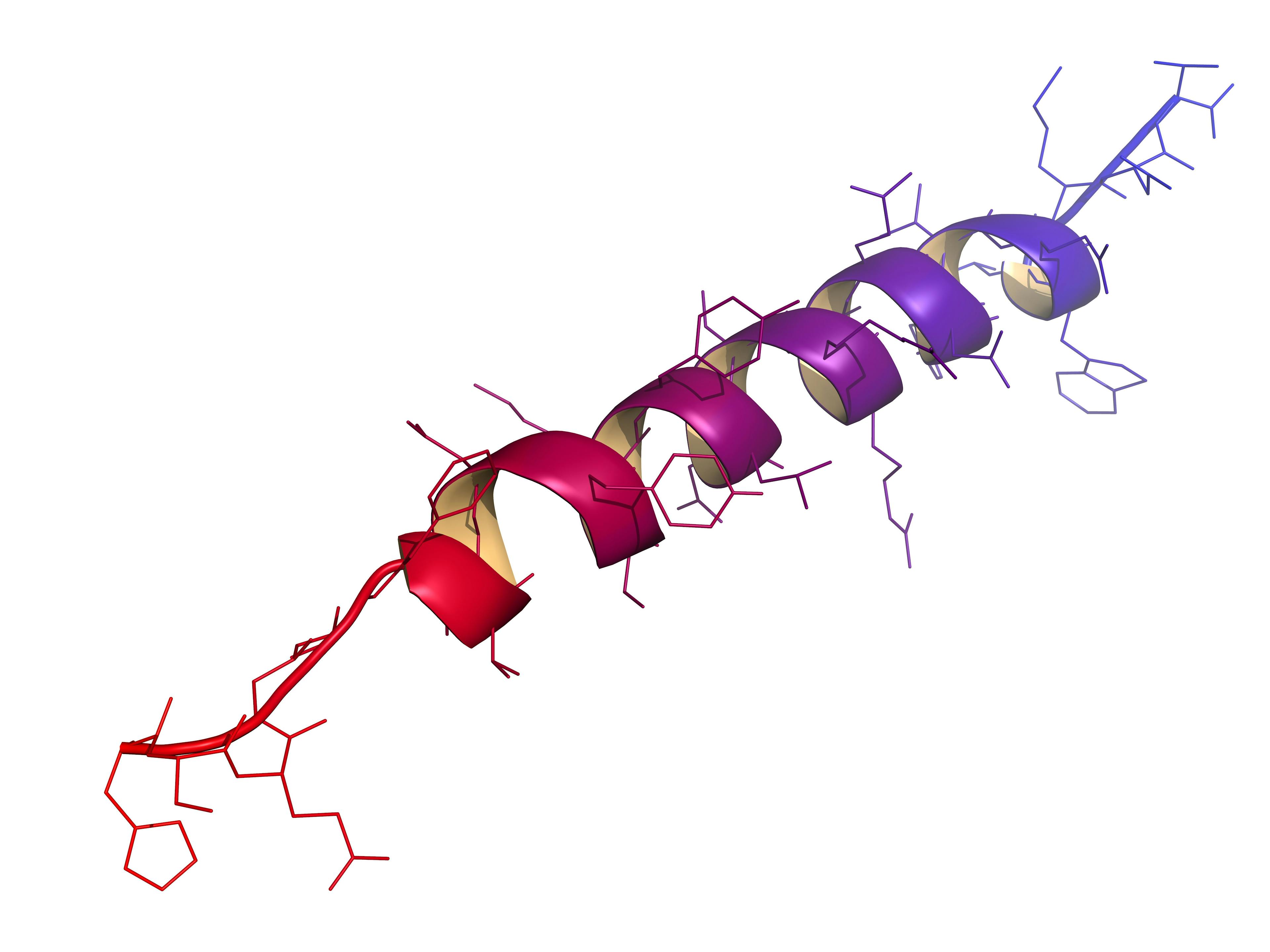 Glucagon peptide hormone molecule, chemical structure | Image Credit: © molekuul.be - stock.adobe.com