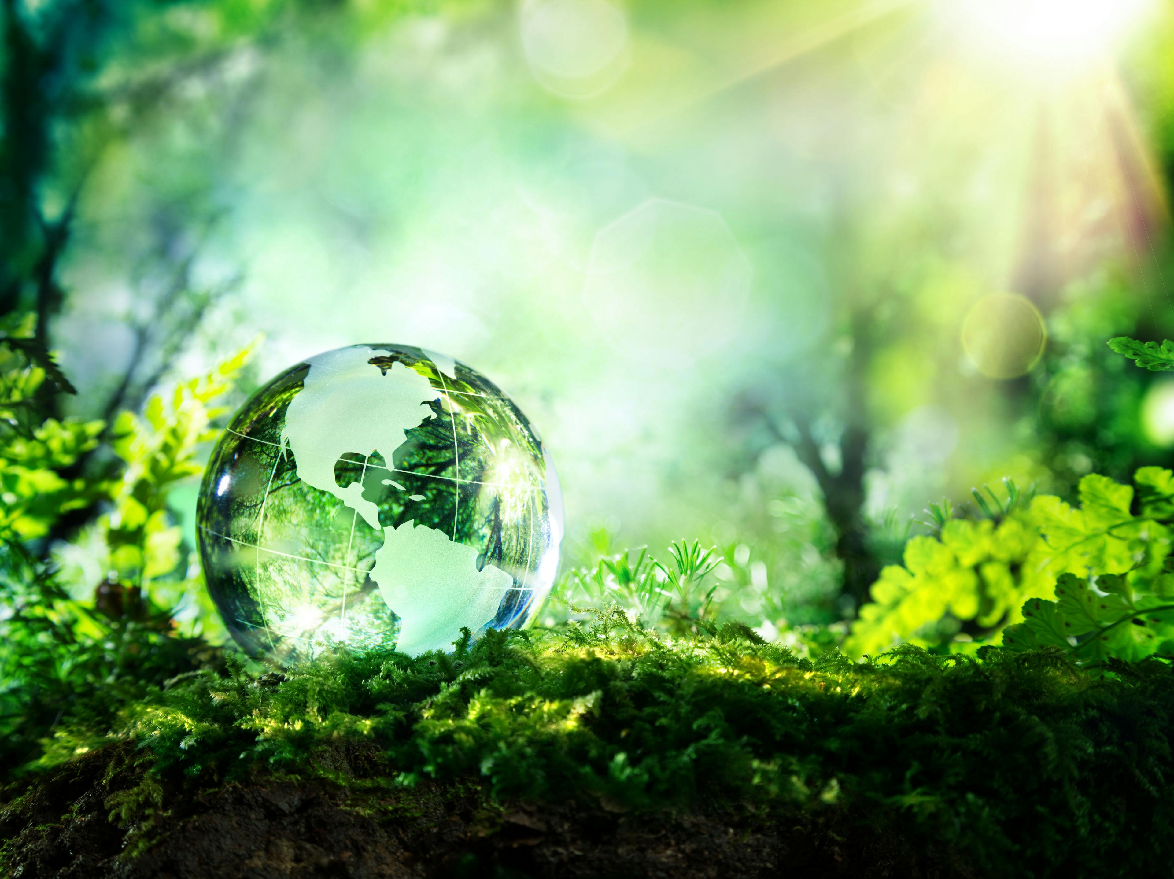 crystal globe on moss in a forest - environment concept | Image Credit: © Romolo Tavani - stock.adobe.com.