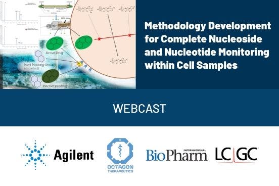 Methodology Development for Complete Nucleoside and Nucleotide Monitoring within Cell Sample