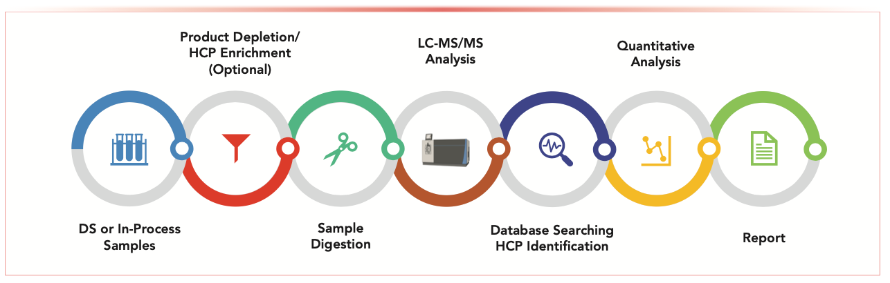 FIGURE 1: A typical LC–MS/MS-based proteomics workflow for host cell protein (HCP) analysis.