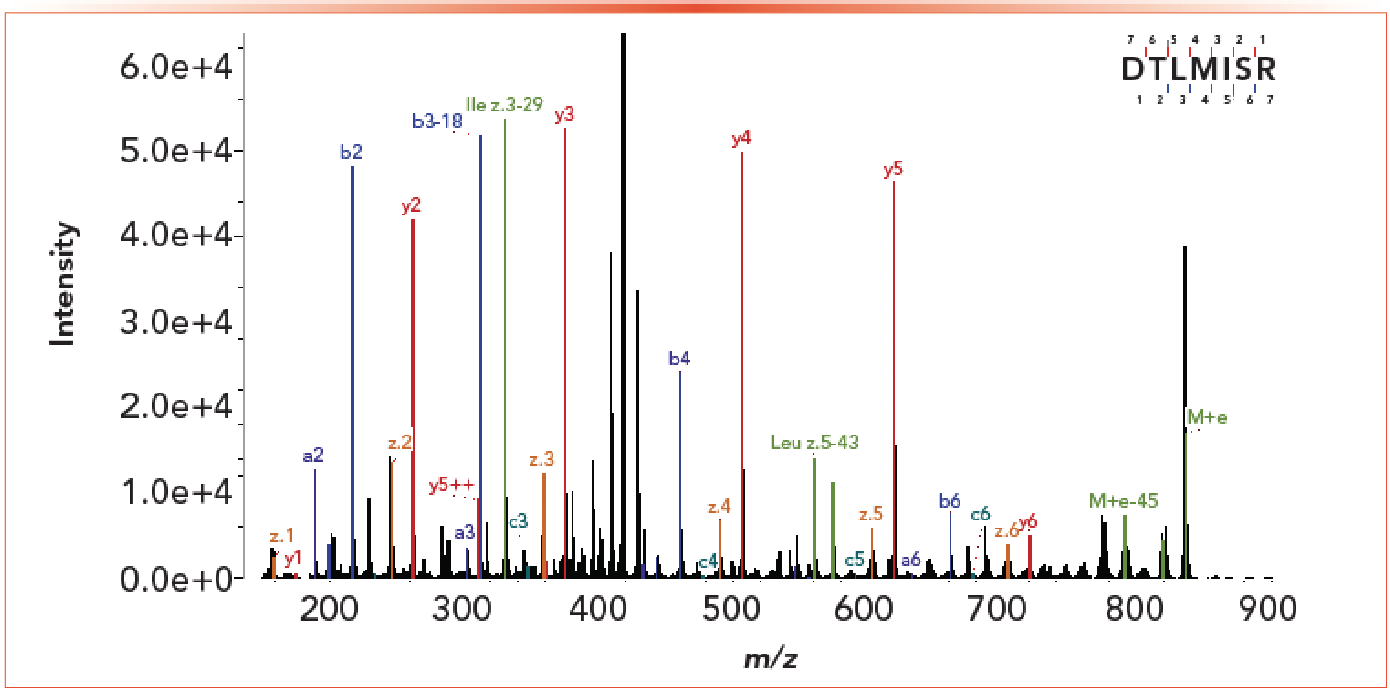 Figure 5: Figure showing the MS spectrum of a peptide from a trispecific antibody with both leucine and isoleucine fragments.