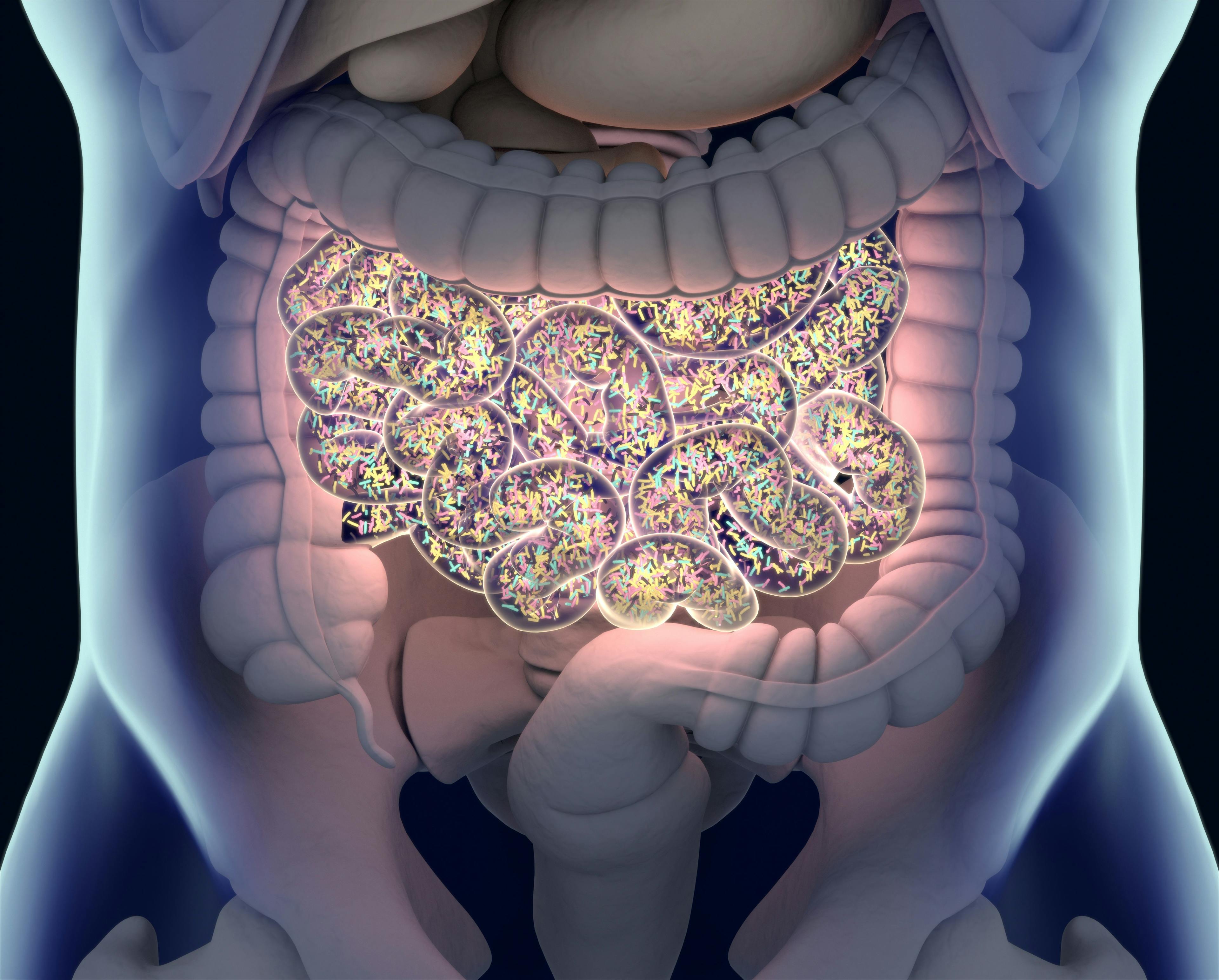 Gut bacteria , gut flora, microbiome. Bacteria inside the small intestine, concept, representation. 3D illustration. | Image Credit: © Anatomy Insider - stock.adobe.com