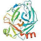 Determination of Very Low-Abundance Diagnostic Proteins in Serum Using Immuno-Capture LC–MS–MS