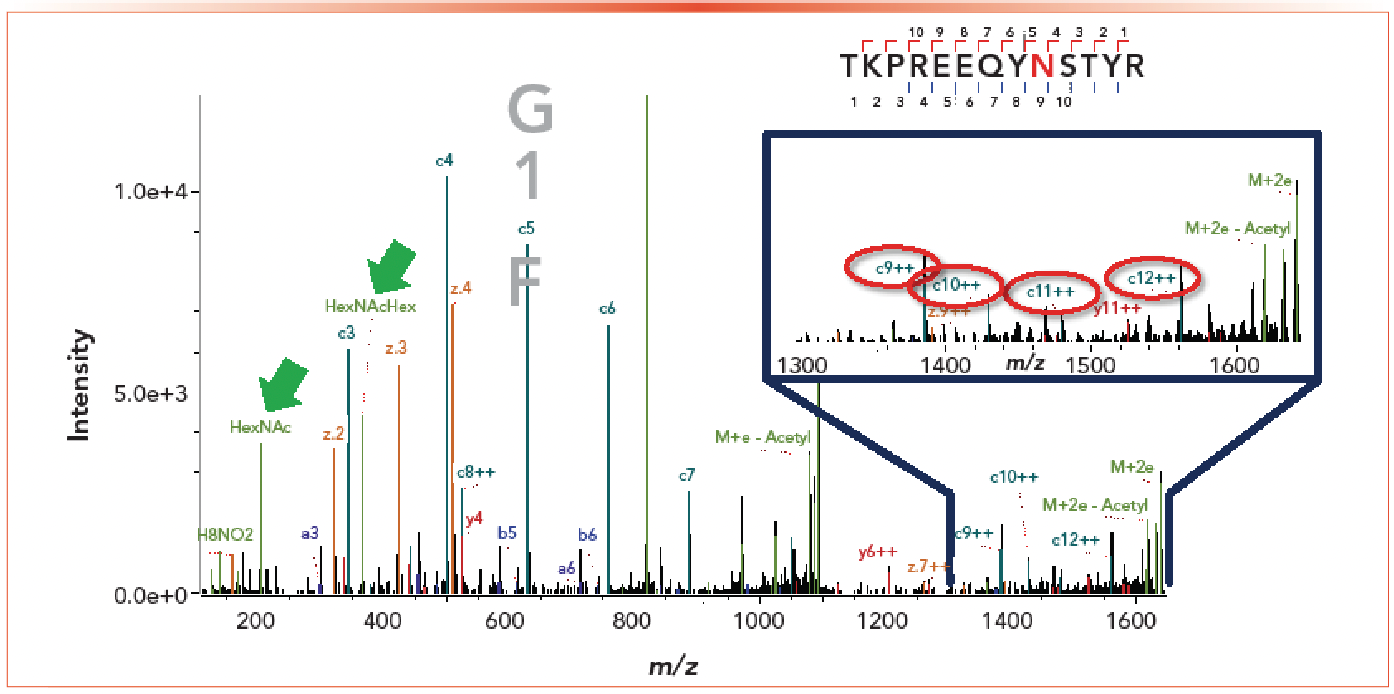 Figure 6: Figures showing the MS spectrum of a peptide from the trispecific antibody with intact glycans. Confirmation of the site of glycosylation was possible for the trispecific candidate. Detection of oxonium ions helped to confirm the identity of the glycopeptide.