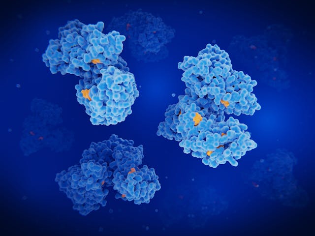  Albumin molecules transporting fatty acids, hormones and drugs in the blood | Image Credit: © Juan Gärtner - stock.adobe.com