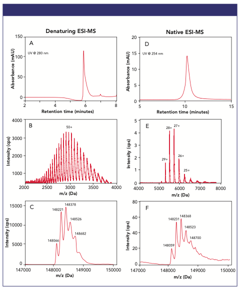 Figure 1: Examples of the chromatographic elution profiles (A and D), the charge state envelopes (B and E), and the deconvoluted spectra (C and F) obtained under denaturing (A–C) and native (D-F) intact mass conditions for the analysis of the NIST mAb.