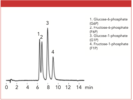 Figure 1: The analysis of phosphorylated saccharides using the Shodex VT-50 2D column.