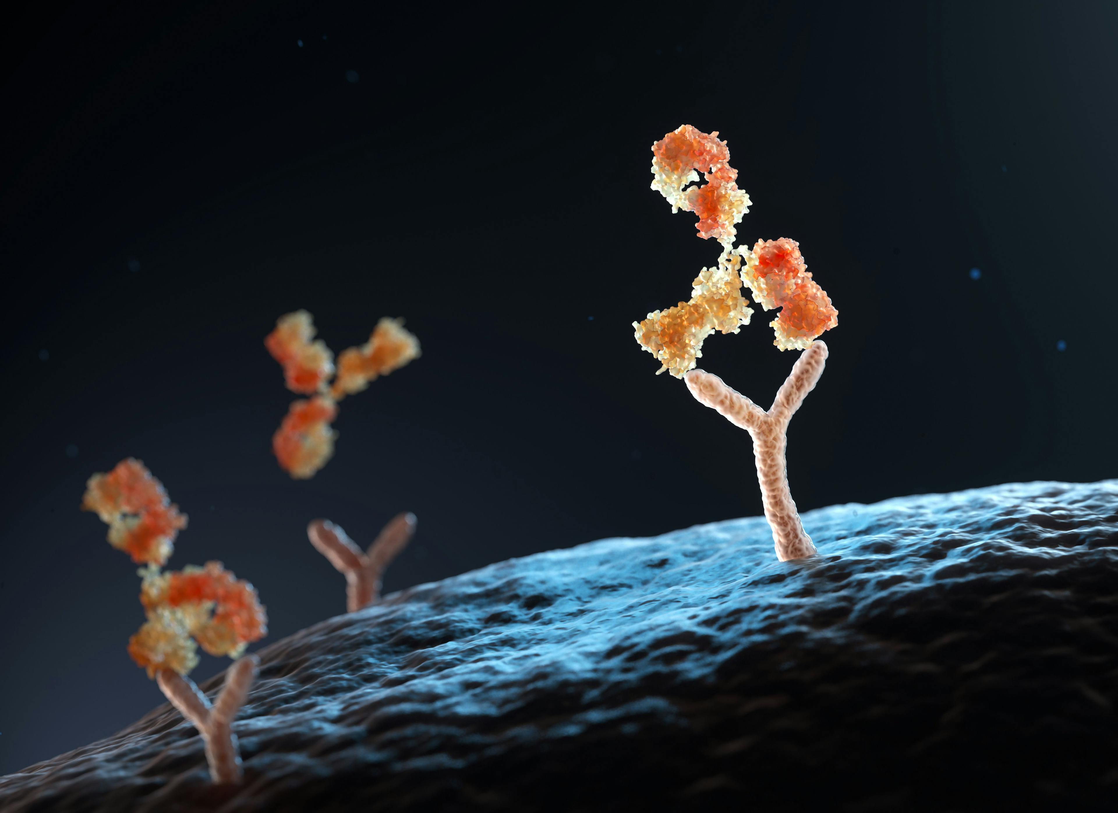 Antibody binding to human cell receptors | Image Credit: © Tatiana Shepeleva - stock.adobe.com