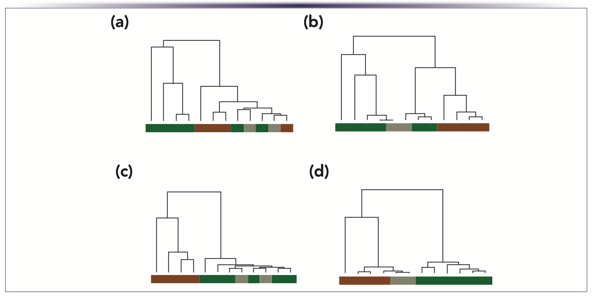 FIGURE 2: Hierarchical cluster analysis of commercial categories of olive oil, namely EVO (green color bar), VO (gray color bar), and LO (brown color bar) obtained using different HS-SPME conditions. (a) 1.5 g of sample extracted for 10 min at 43 °C; (b) 0.1 g of sample extracted for 10 min at 43 °C; (c) 0.1 g of sample extracted for 30 min at 43 °C, and (d) 0.1 g of sample extracted three times for 10 min each at 43 °C using the MCT-HS-SPME approach (modified from [4]).