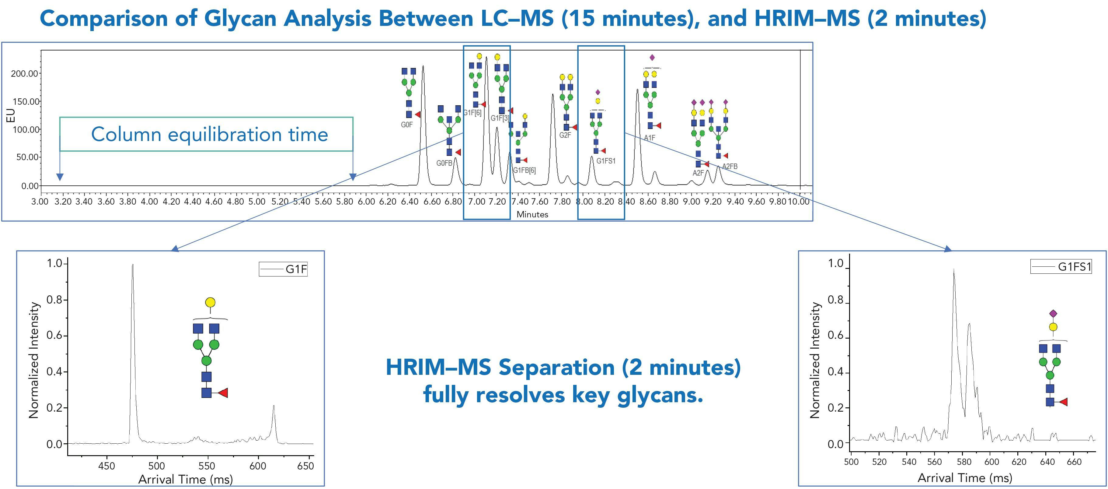 Figure 1: HRIM-MS produces higher quality data more quickly, resulting in savings for development costs and improvement of safety and efficacy for potentially faster regulatory approvals. Shown above, a 15-min LC–MS generated chromatogram of IgG control with N-glycan identifications noted, and the extracted ion mobility drift plots (or mobiligrams) from the 2-min HRIM–MS method demonstrating resolution of glycoforms not identified using the LC–MS method.