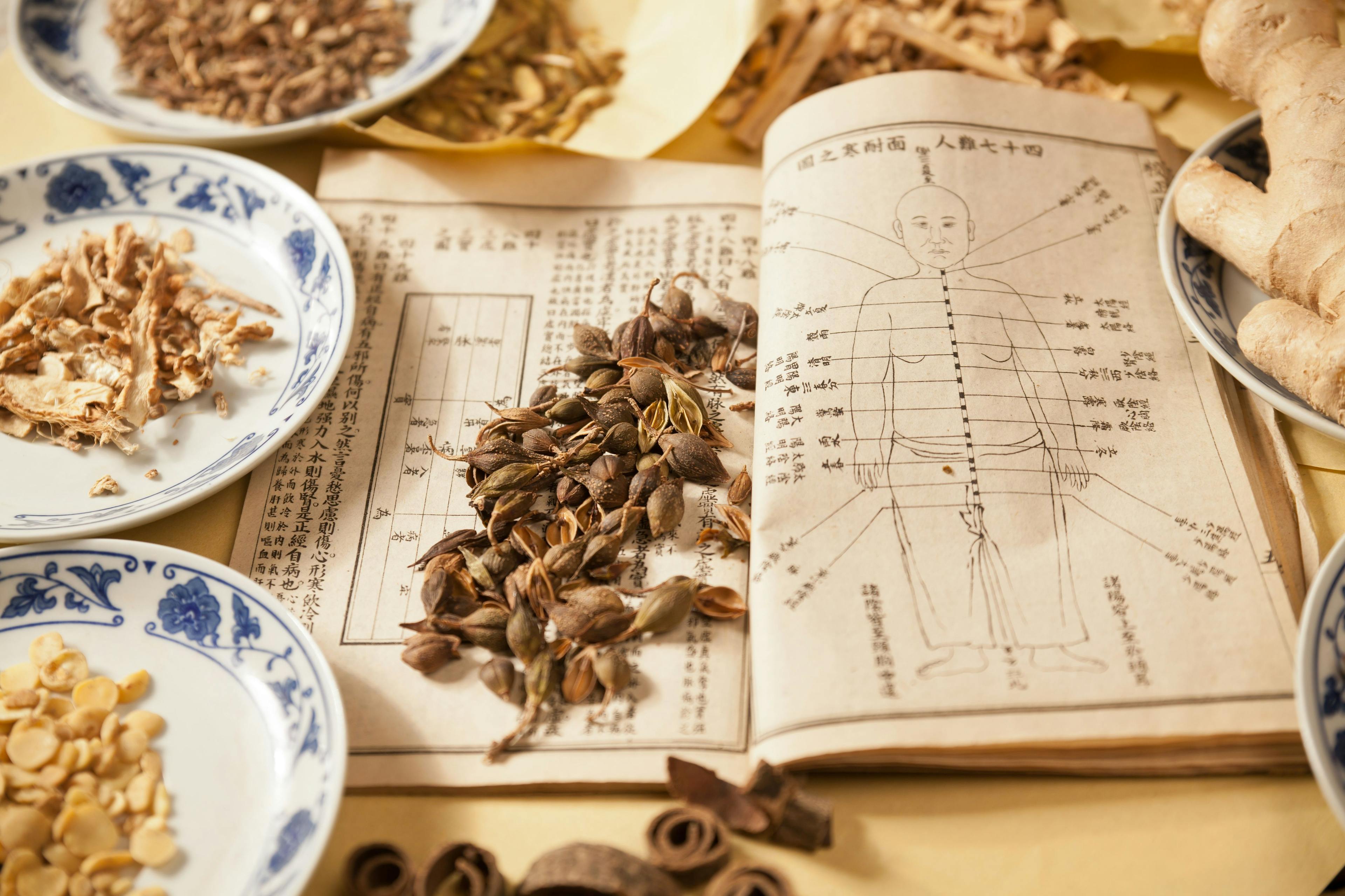 Chinese herbs | Image Credit: © ft2010 - stock.adobe.com