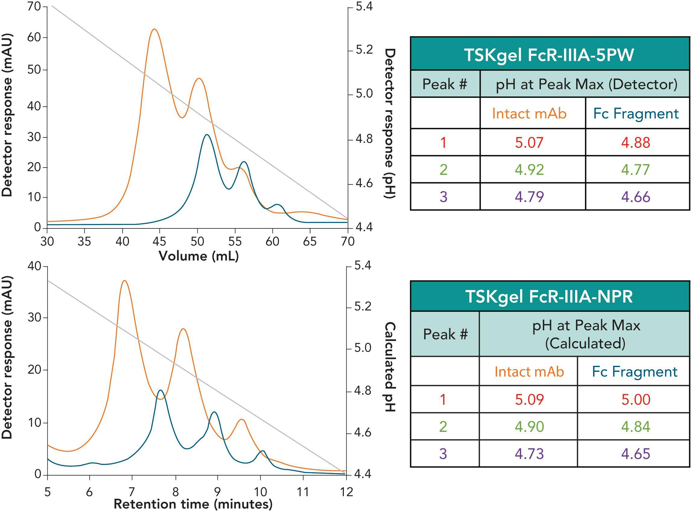 Figure 5: Elution profiles of TSKgel FcR-IIIA columns for intact mAb and the papain-released Fc-fraction