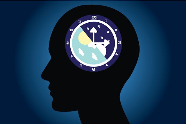 The circadian rhythms are controlled by circadian clocks or biological clock these clocks tell our brain when to sleep, tell our gut when to digest and control our activity in several day | Image Credit: © kanyanat - stock.adobe.com