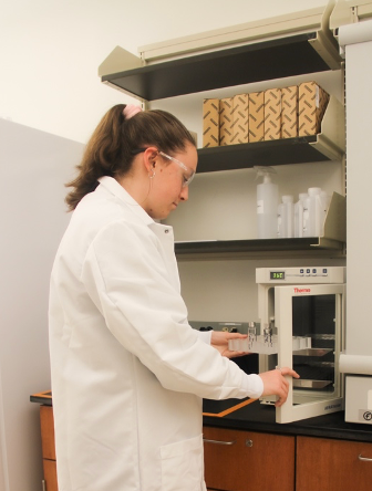 Kira Fisher (BS in Chemistry sophomore researcher) preparing samples for incubation | Photo Credit: © Katelynn Perrault Uptmor