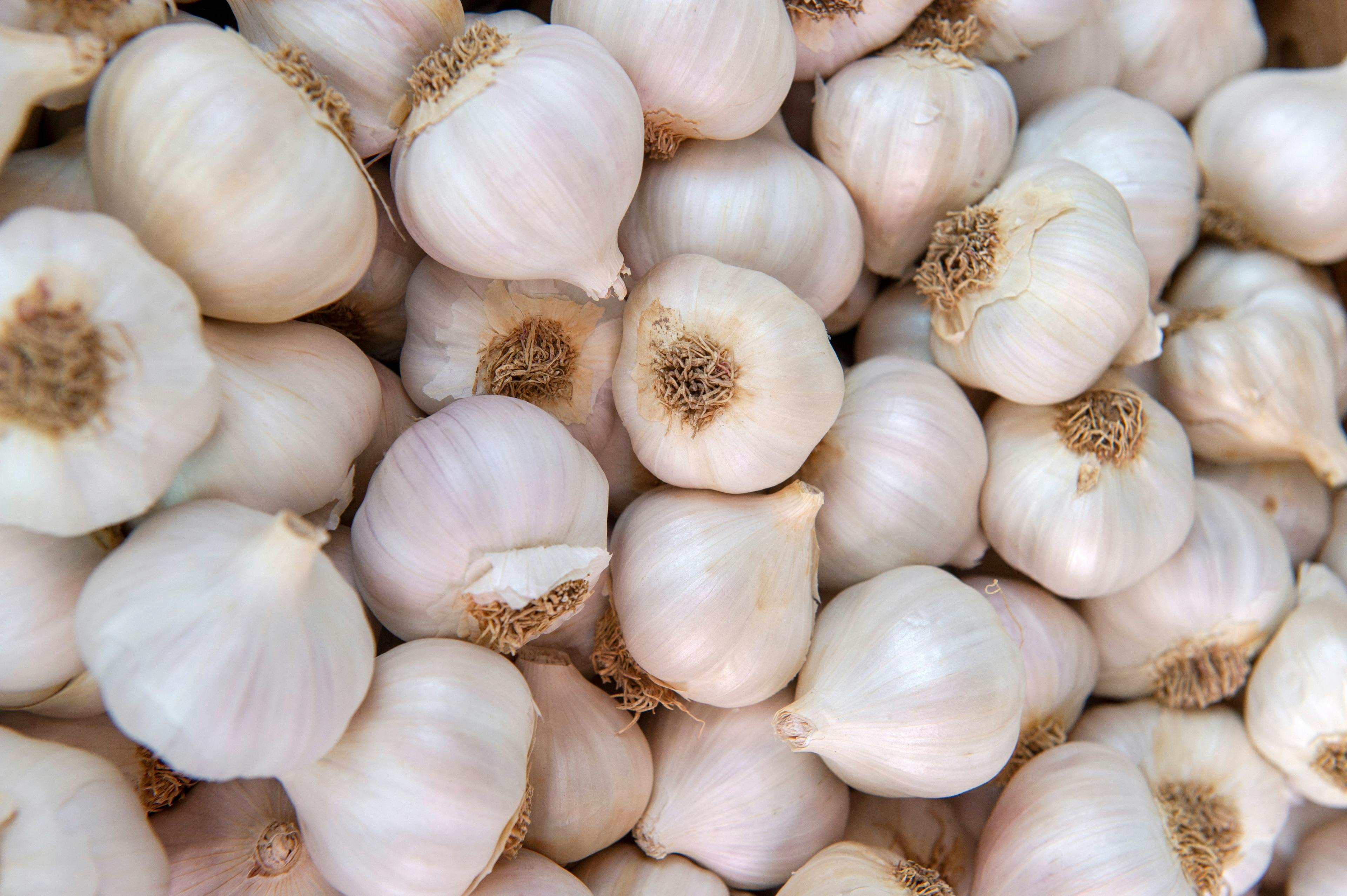 White garlic pile texture. Fresh garlic on market table closeup photo. Vitamin healthy food spice image. Spicy cooking ingredient picture. Pile of white garlic heads. © Vlad - stock.adobe.com