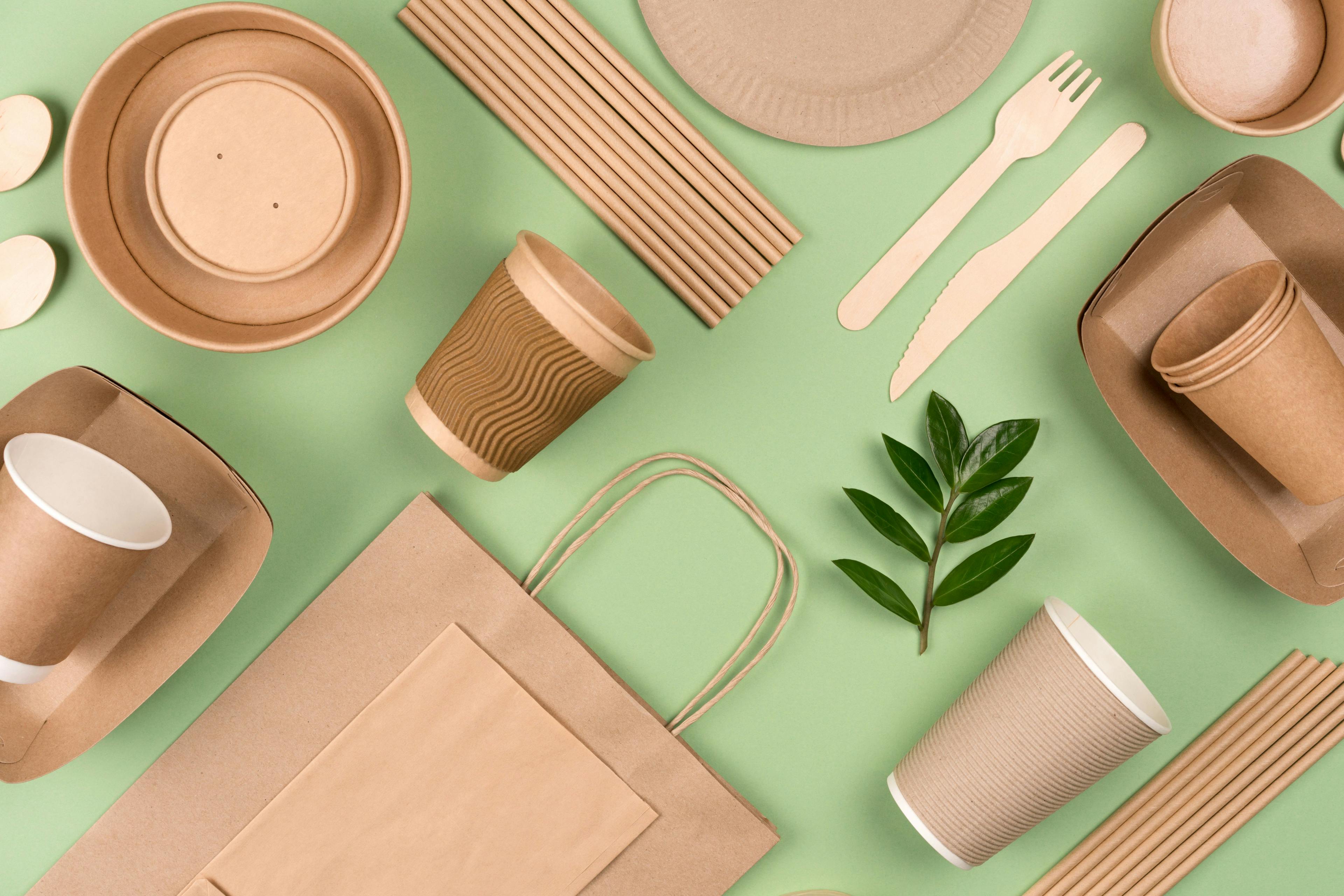 Eco-friendly tableware - kraft paper food packaging on light green background. Street food paper packaging, recyclable paperware, zero waste packaging concept. Flat lay | Image Credit: © Iryna Mylinska - stock.adobe.com