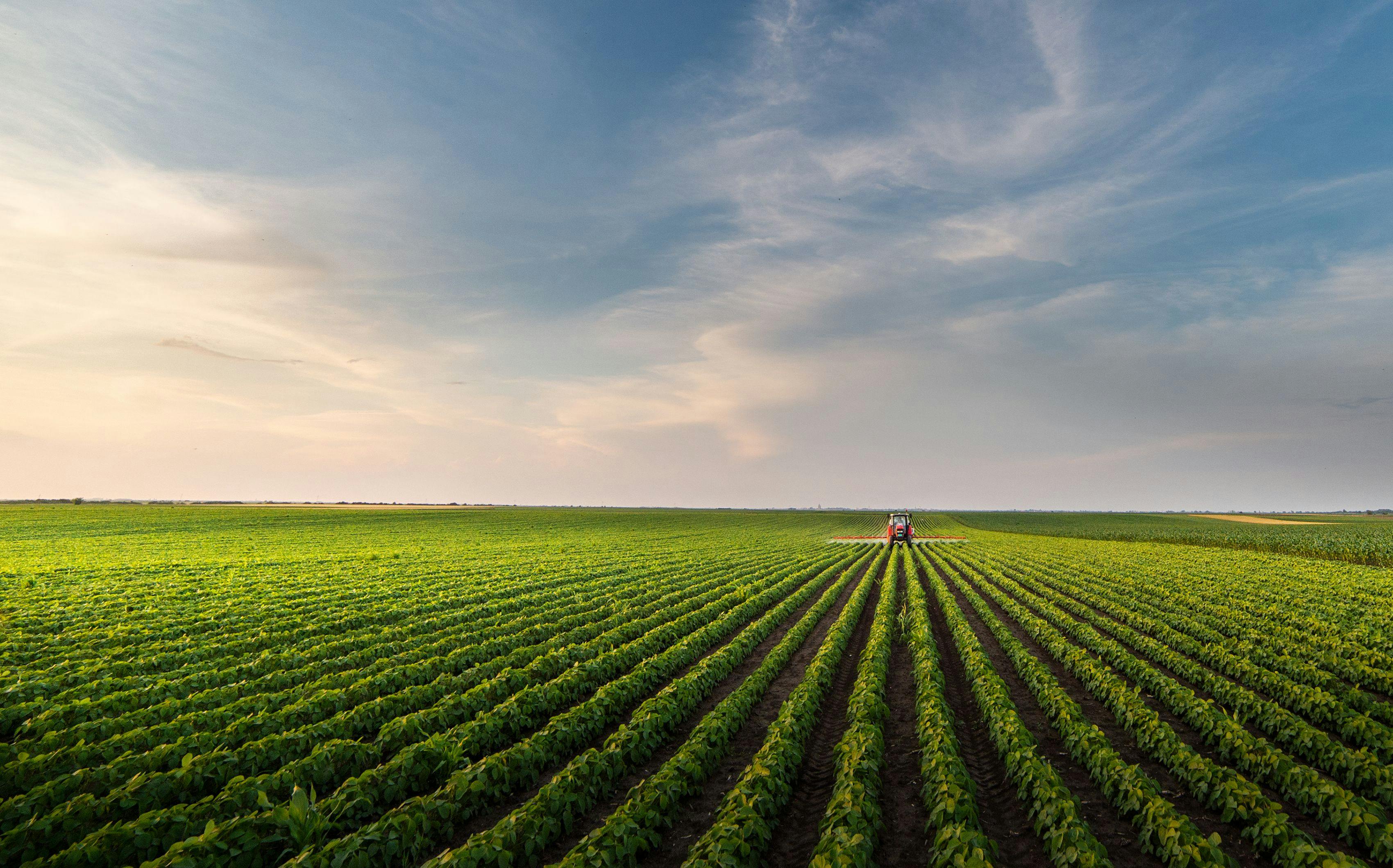 Tractor spraying soybean field in sunset | Image Credit: © Dusan Kostic - stock.adobe.com