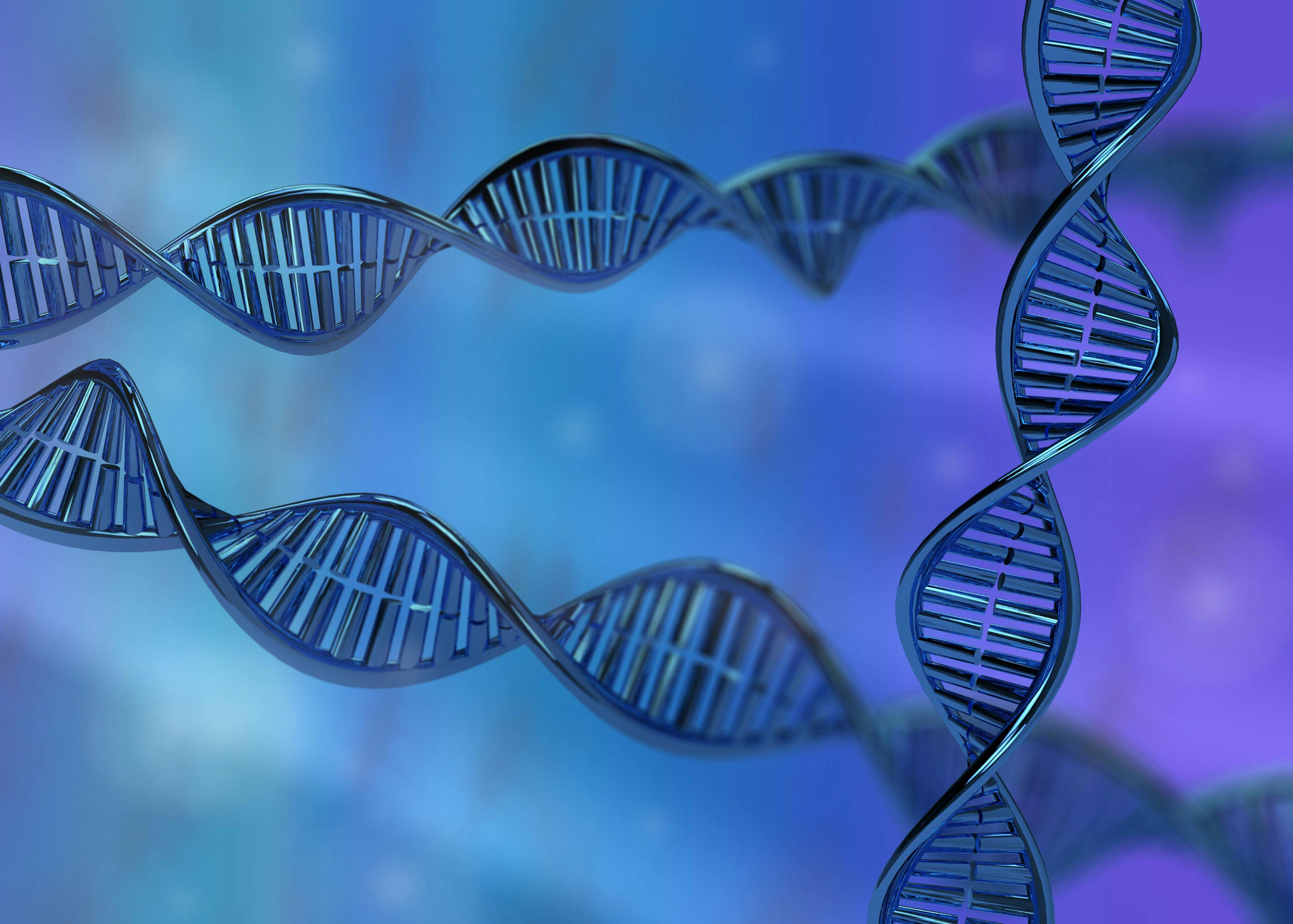 DNA molecule double helix 3D rendering | Image Credit: © Matthieu Tuffet - stock.adobe.com