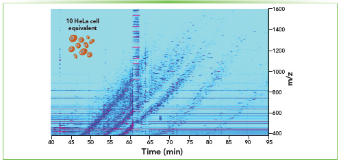 Figure 4: CE–MS in bottom-up proteomic profiling of mass-limited samples. Ion density map (intensity level: 5.0 E5) of the CZE–MS analysis of a 10-cell equivalent injected from ~1,000 HeLa cells processed by our miniaturized in-solution digestion protocol. A separation voltage of 20 kV was applied in normal polarity. The experimental techniques were the same as previously described (6).