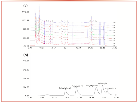 FIGURE 2: (a) Characteristic chromatograms obtained from 10 batches of gongxuening capsules on Phe-D, and (b) chromatogram of mixed standard compounds on Phe-D.