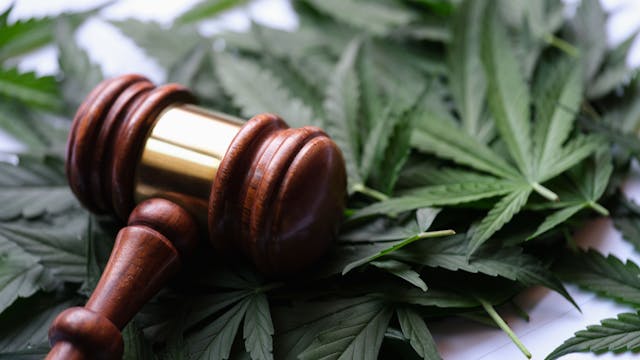 Gavel of judge lying on green leaves of marijuana closeup | Image Credit: © H_Ko - stock.adobe.com