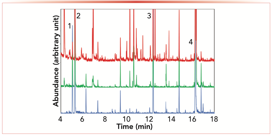 FIGURE 3: GC–MS results demonstrate the use of a dry herb vaporizer for the extraction of horseradish root at 150 °C (blue), 200 °C (green), and 240 °C (red).