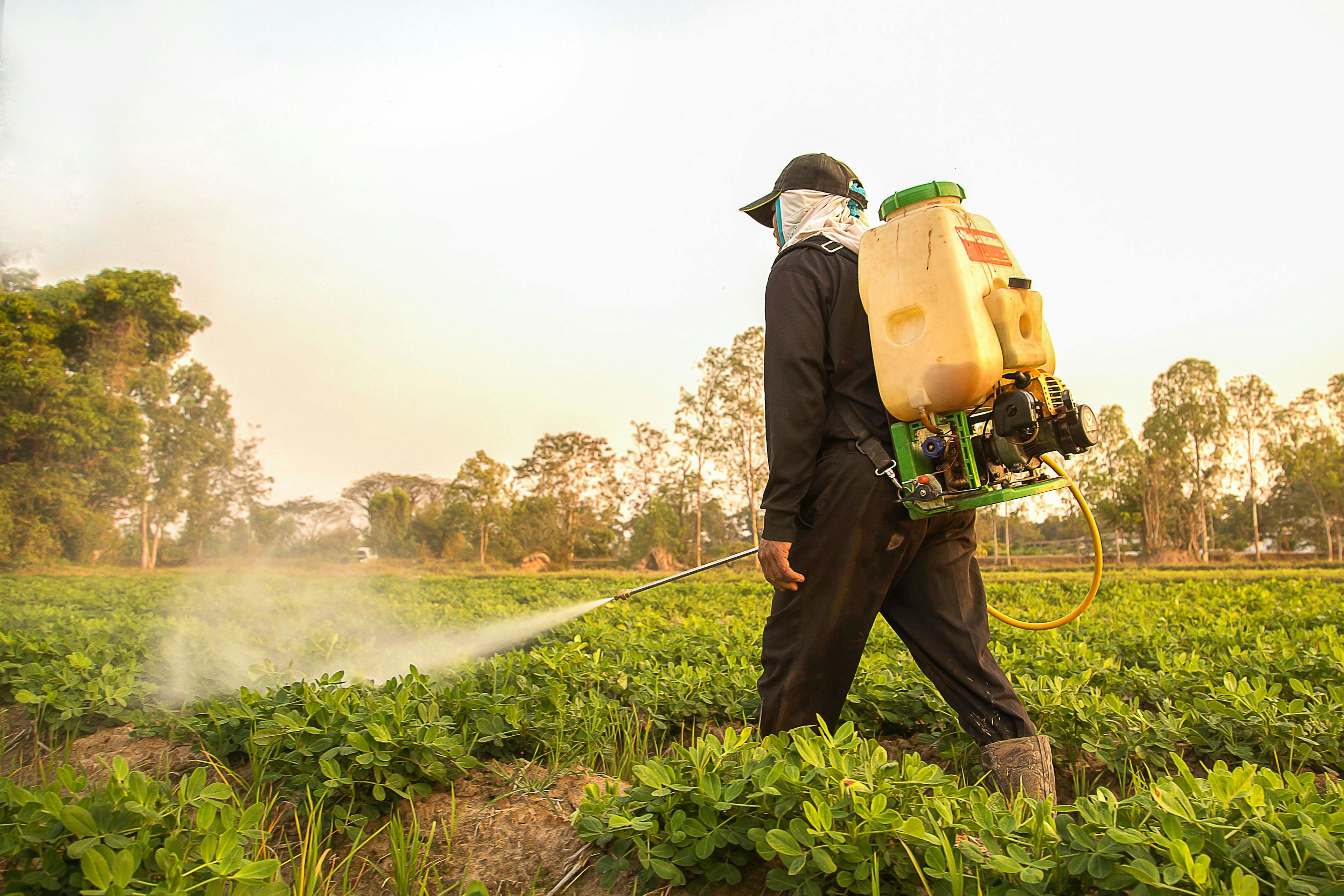 Farmer spraying pesticide during sunset time | Image Credit: © bannafarsai - stock.adobe.com