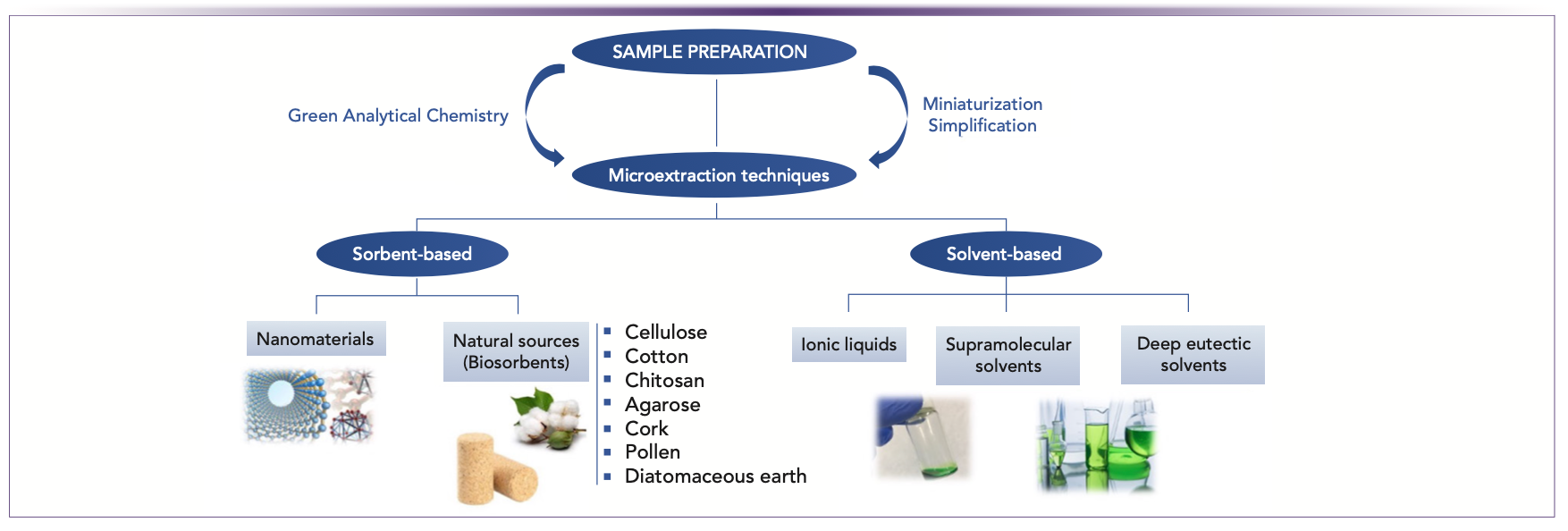 FIGURE 1: Overview of green materials in microextraction techniques.