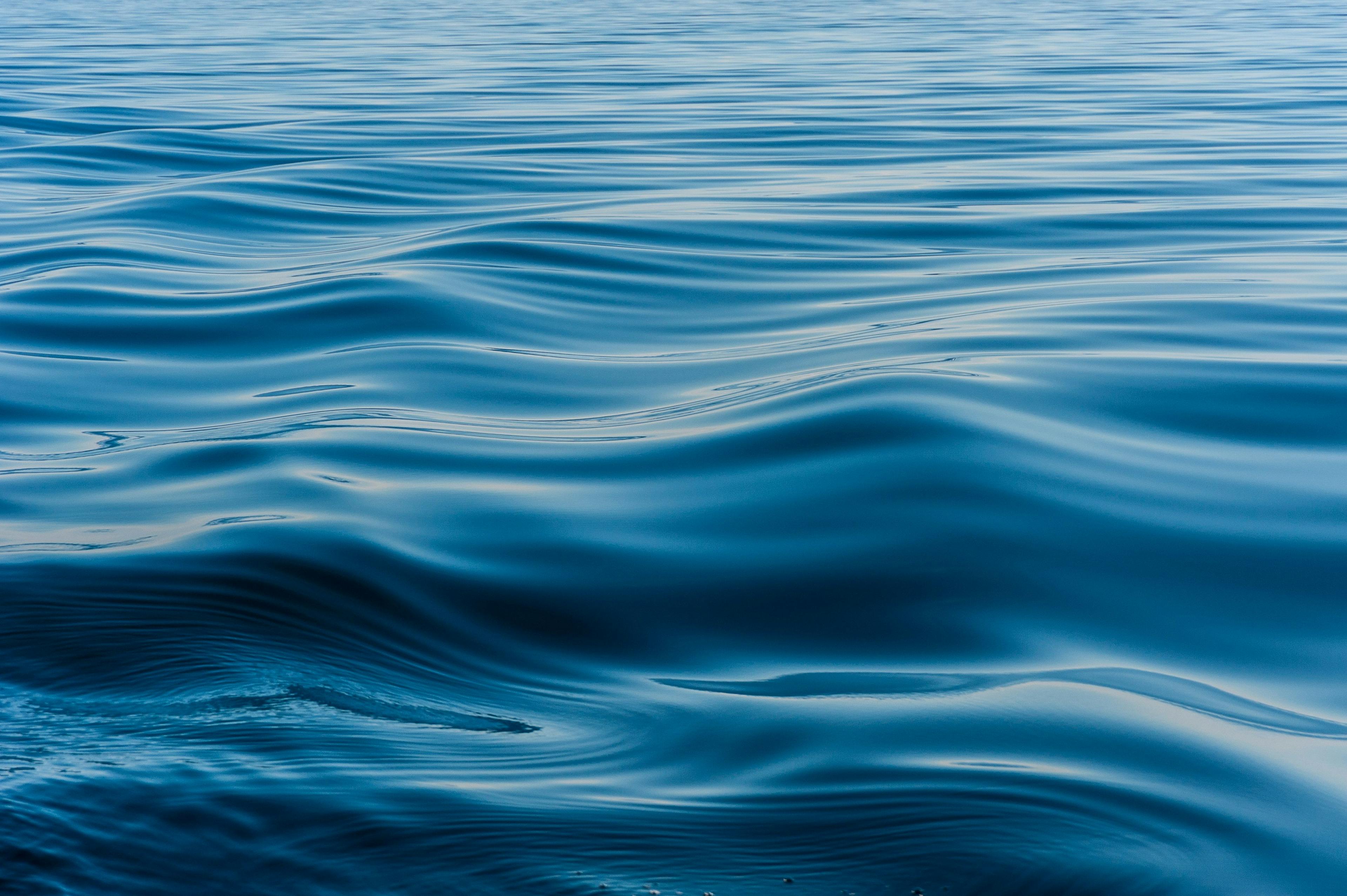 wave on the surface of the lake | Image Credit: © tashas - stock.adobe.com