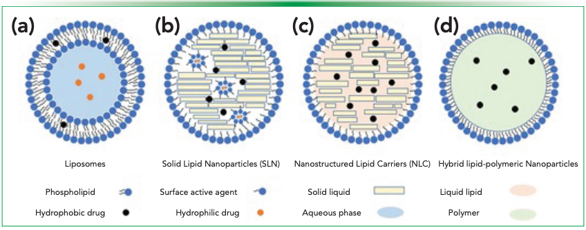 Figure 1: Schematics of different classes of lipid-based nanoparticles: (a) liposomes, (b) SLNs, (c) NLCs, and (d) hybrid lipid-polymeric nanoparticles (Open Access [1]).