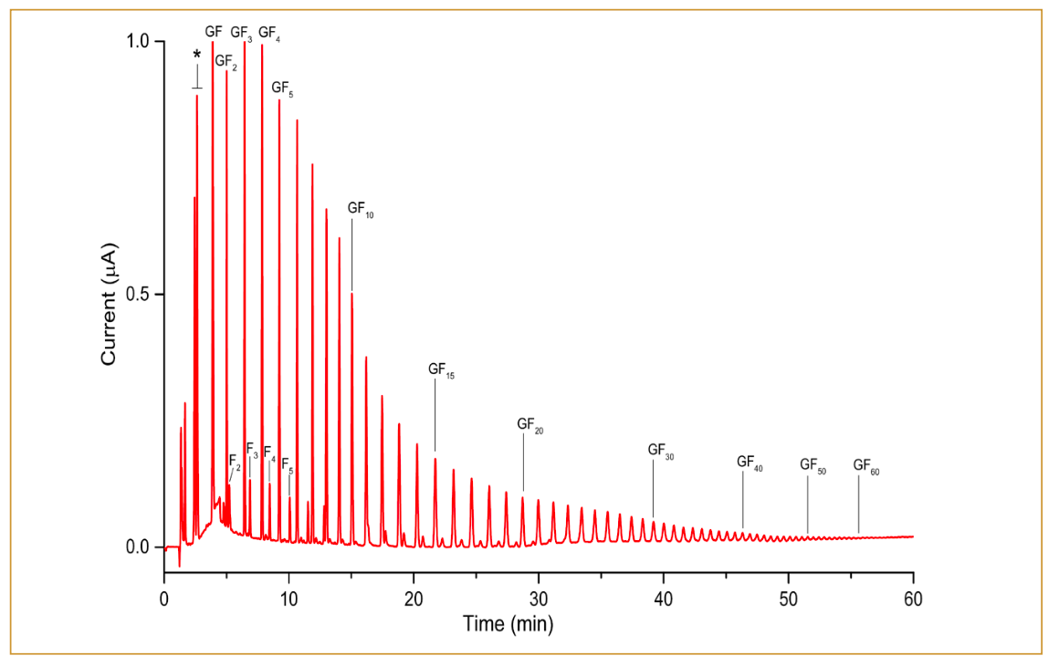 FIGURE 4: Chromatogram of 10-μL injections of 200 ppm inulin from chicory. Monosaccharides (glucose and fructose) are labeled with an asterisk.