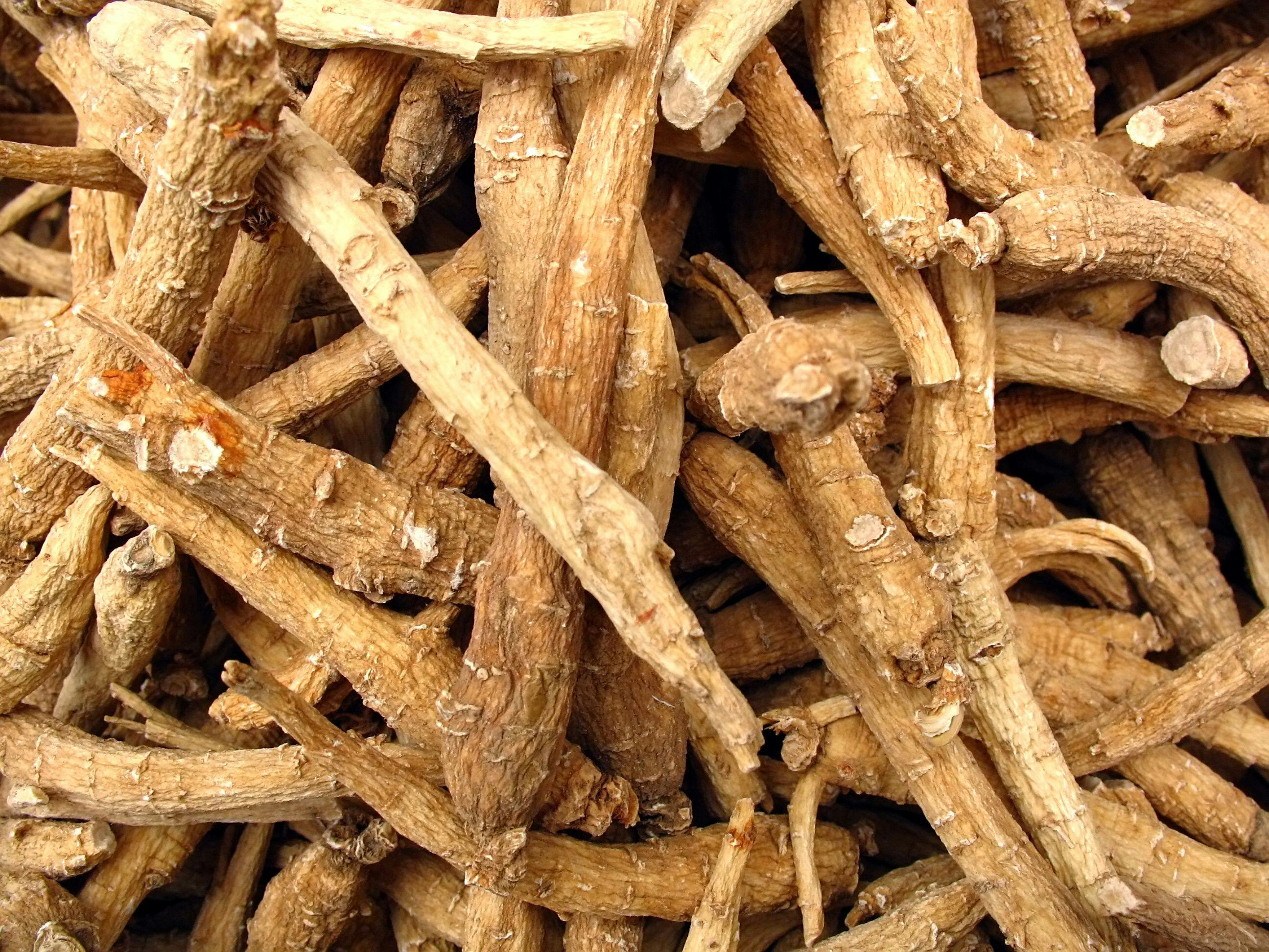 ginseng roots from chinese herbal pharmacy | Image Credit: © nettestock - stock.adobe.com