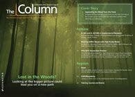 The Column-11-21-2012