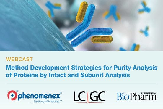 Method Development Strategies for Purity Analysis of Proteins by Intact and Subunit Analysis