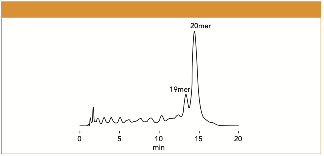 Figure 1: Analysis of oligonucleotides using Shodex HILICpak VN-50.