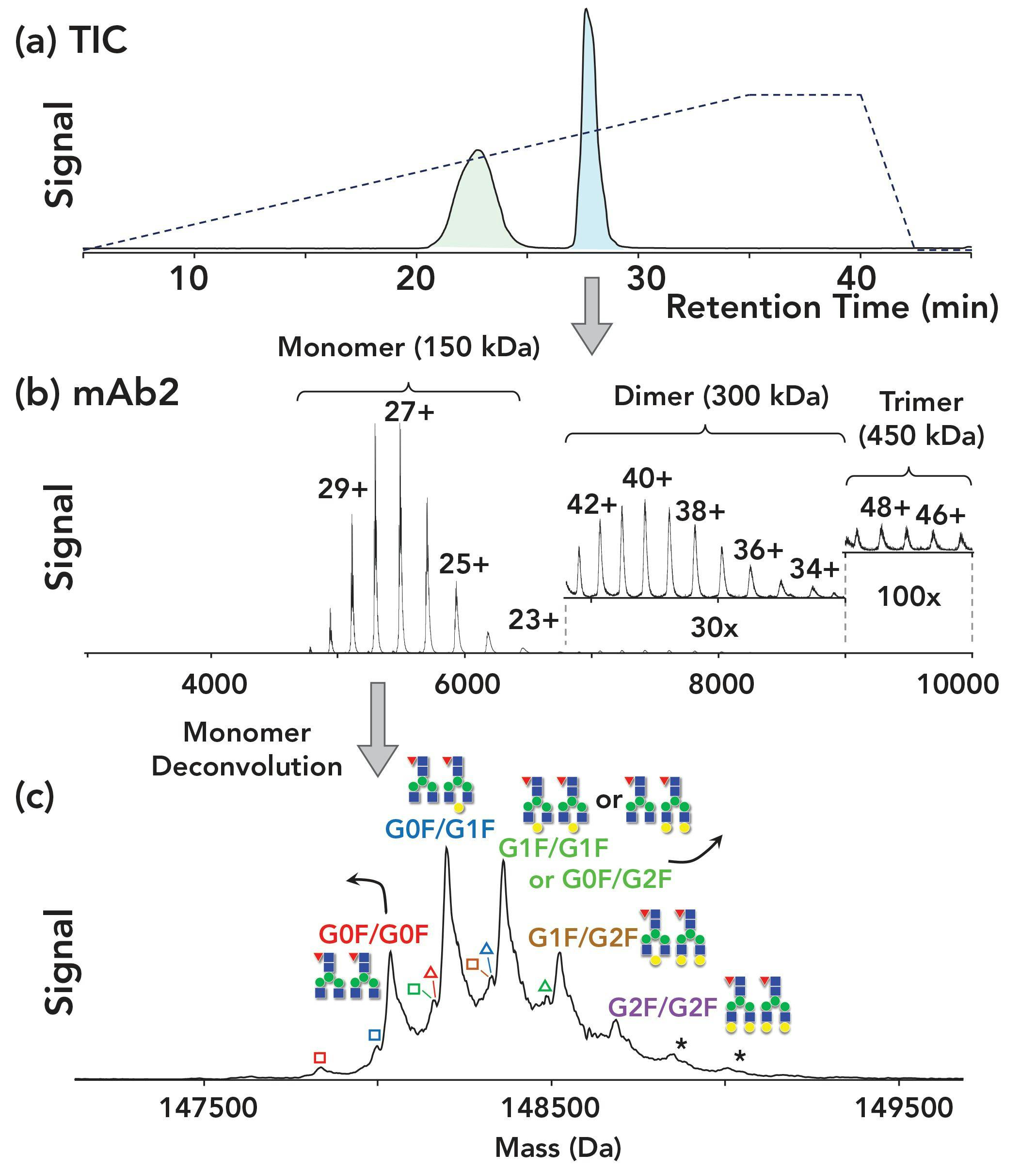 FIGURE 3: Analysis of two mAbs on a PolyPENTYL A capillary. The mAb eluting at 28 min (mAb2) is the NIST standard antibody. Its dimer and trimer are readily evident in the mass spectrum, and with deconvolution, the glycosylation variants are evident as well. The distribution of these variants matches that reported in the scientific literature. a) Total ion chromatogram. b) The mass spectrum of mAb2; the inserts show zoom-ins for the dimer and trimer. c) The deconvoluted mass spectrum of mAb2 monomer, annotated to identify the glycosylation variants. Figure adapted from reference (6).