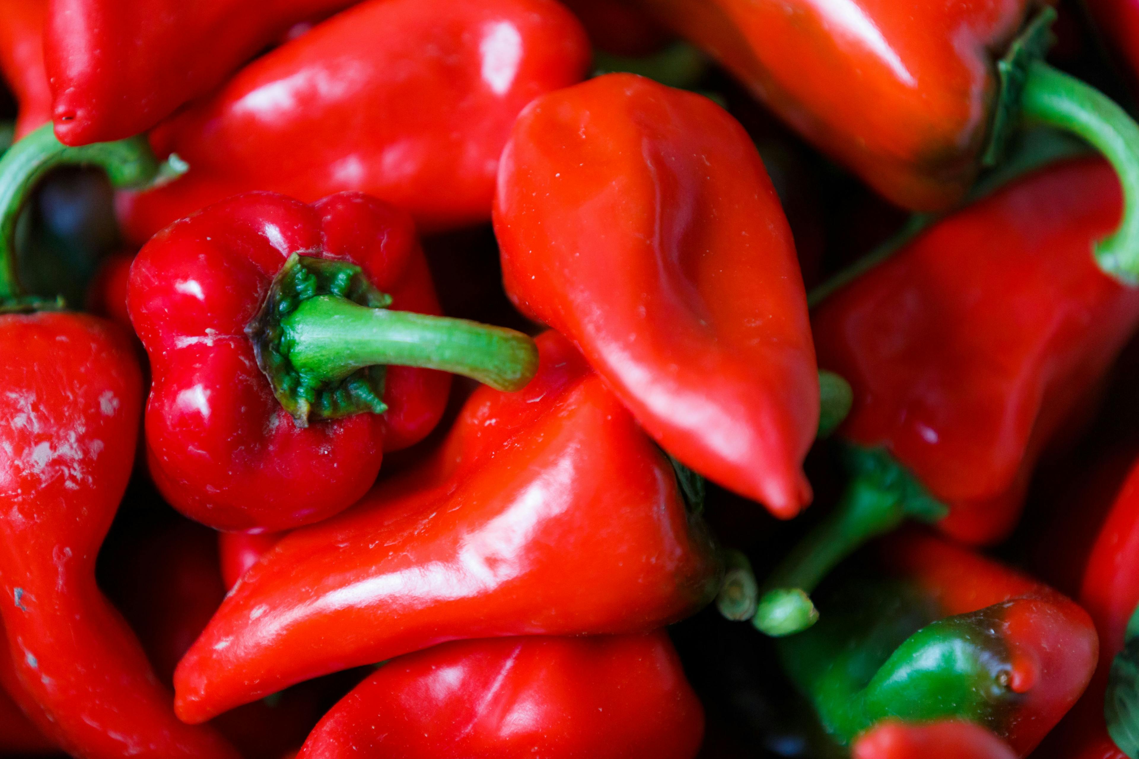 Background of piquillo peppers, in Lodosa, spain | Image Credit: © bonilla1879 - stock.adobe.com